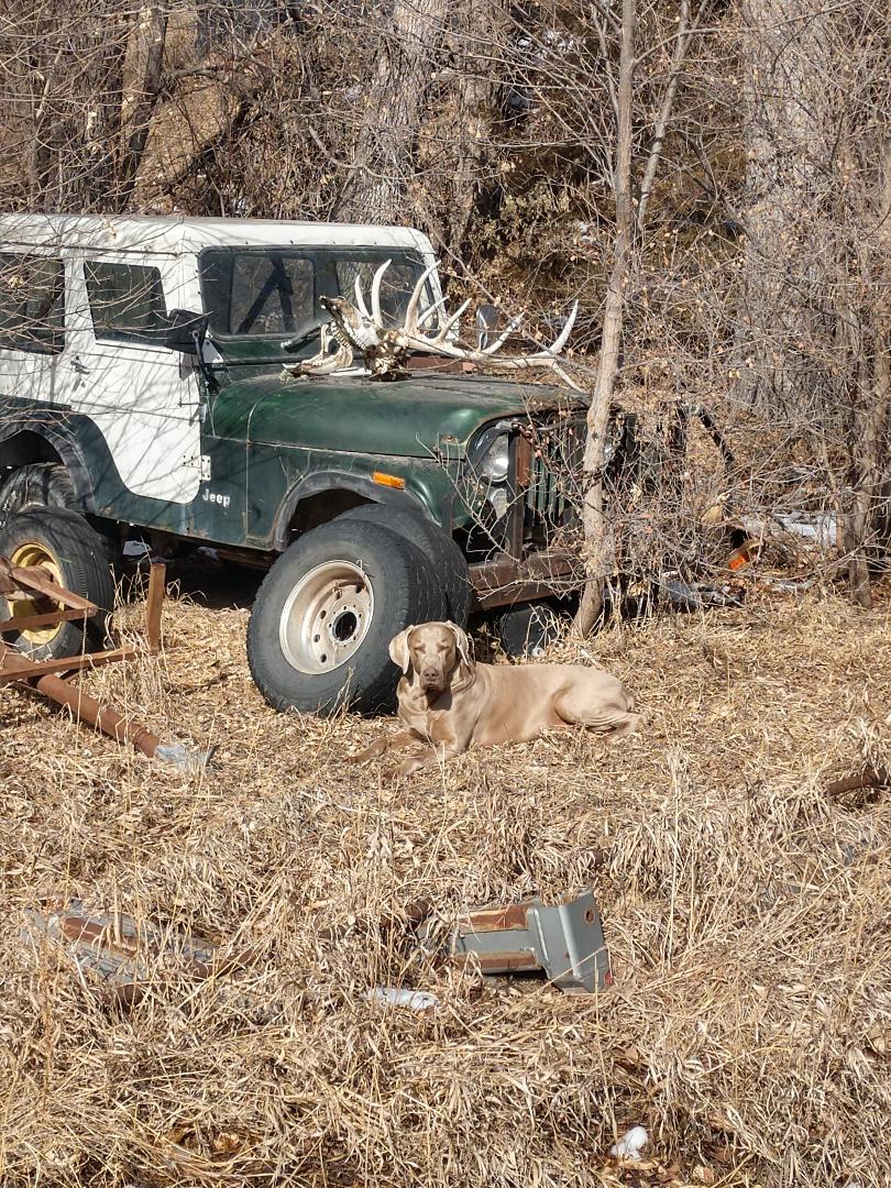 gus n jeep.jpg