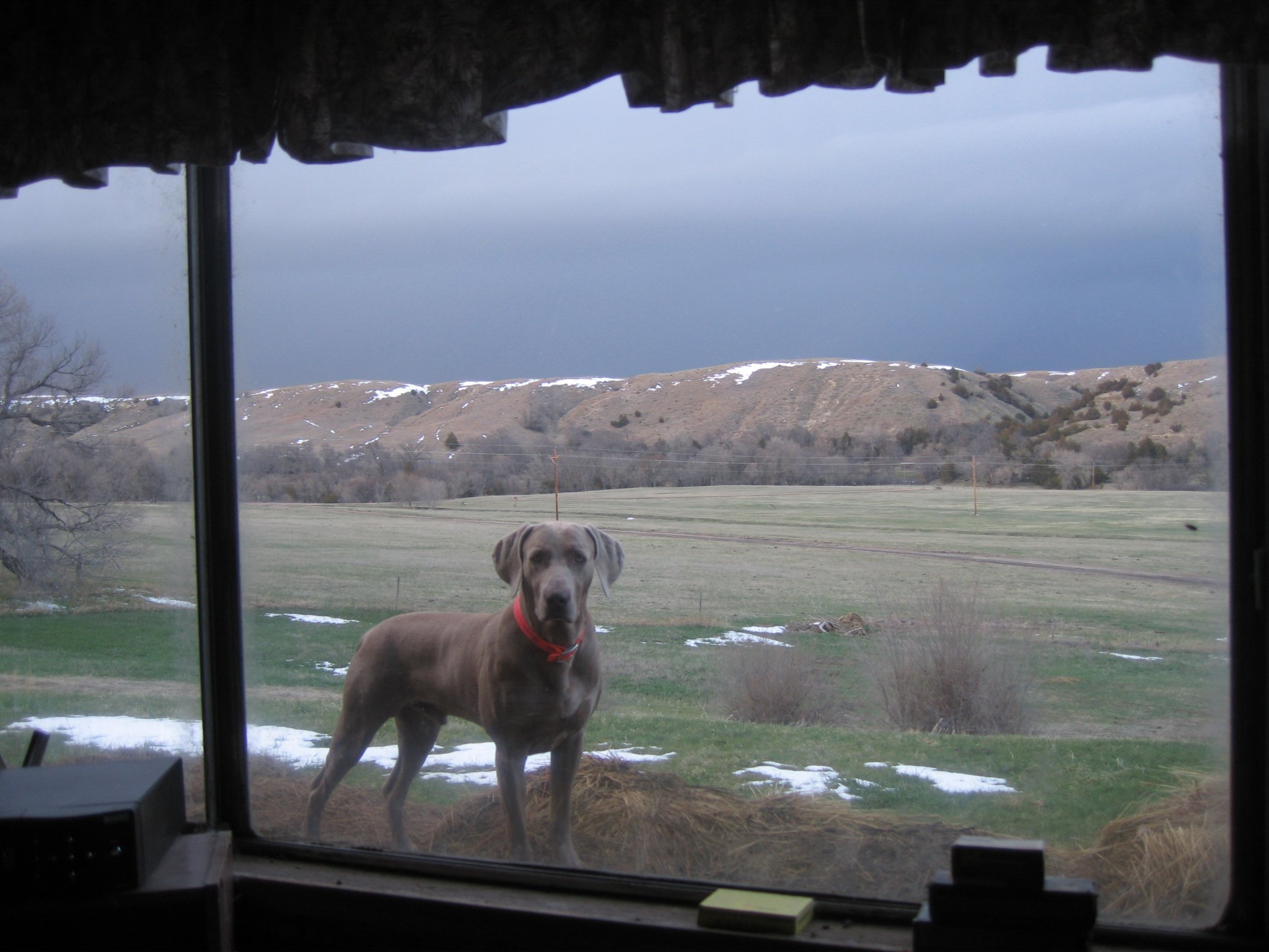 Gus window.JPG
