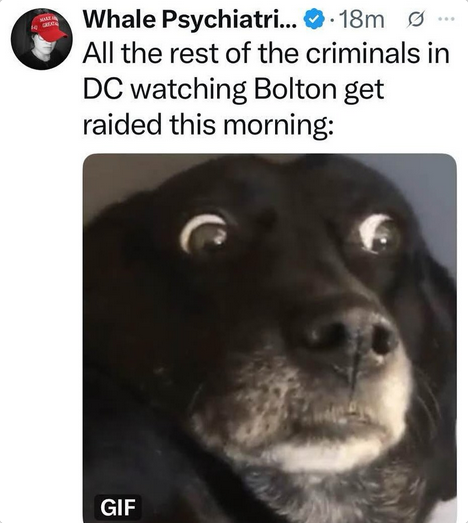 Gy-WmL-W4AACYyf.png