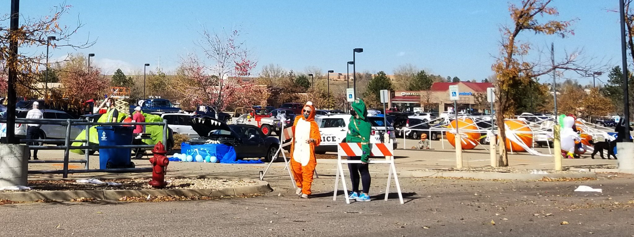 H1.jpg