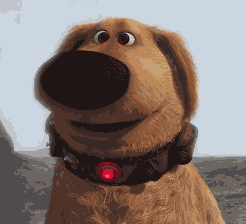 happy dog.gif
