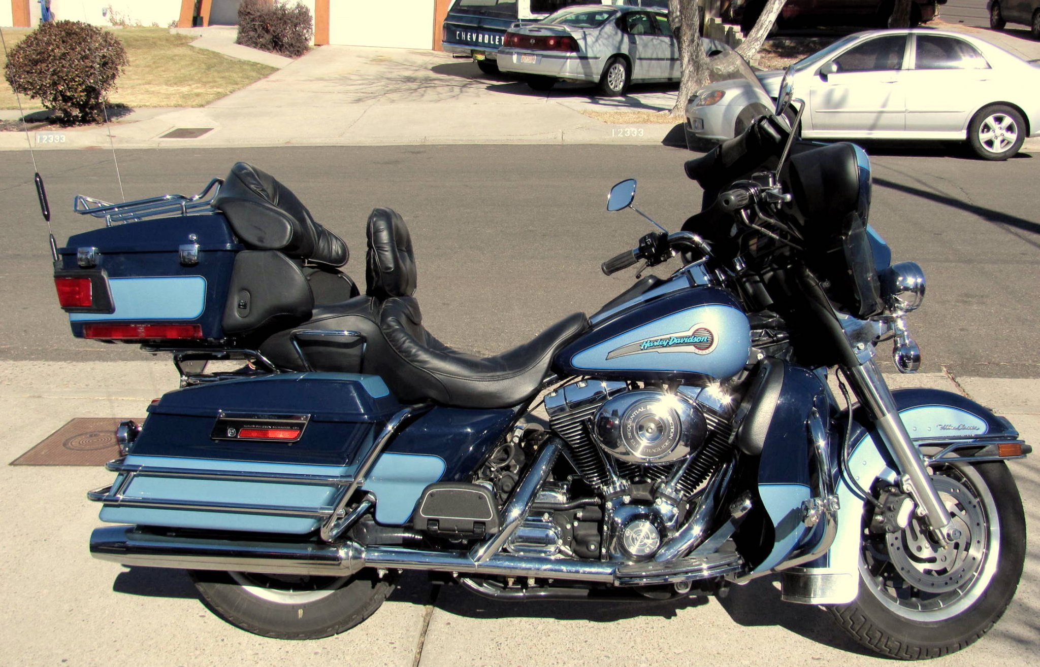 harley 3.jpg
