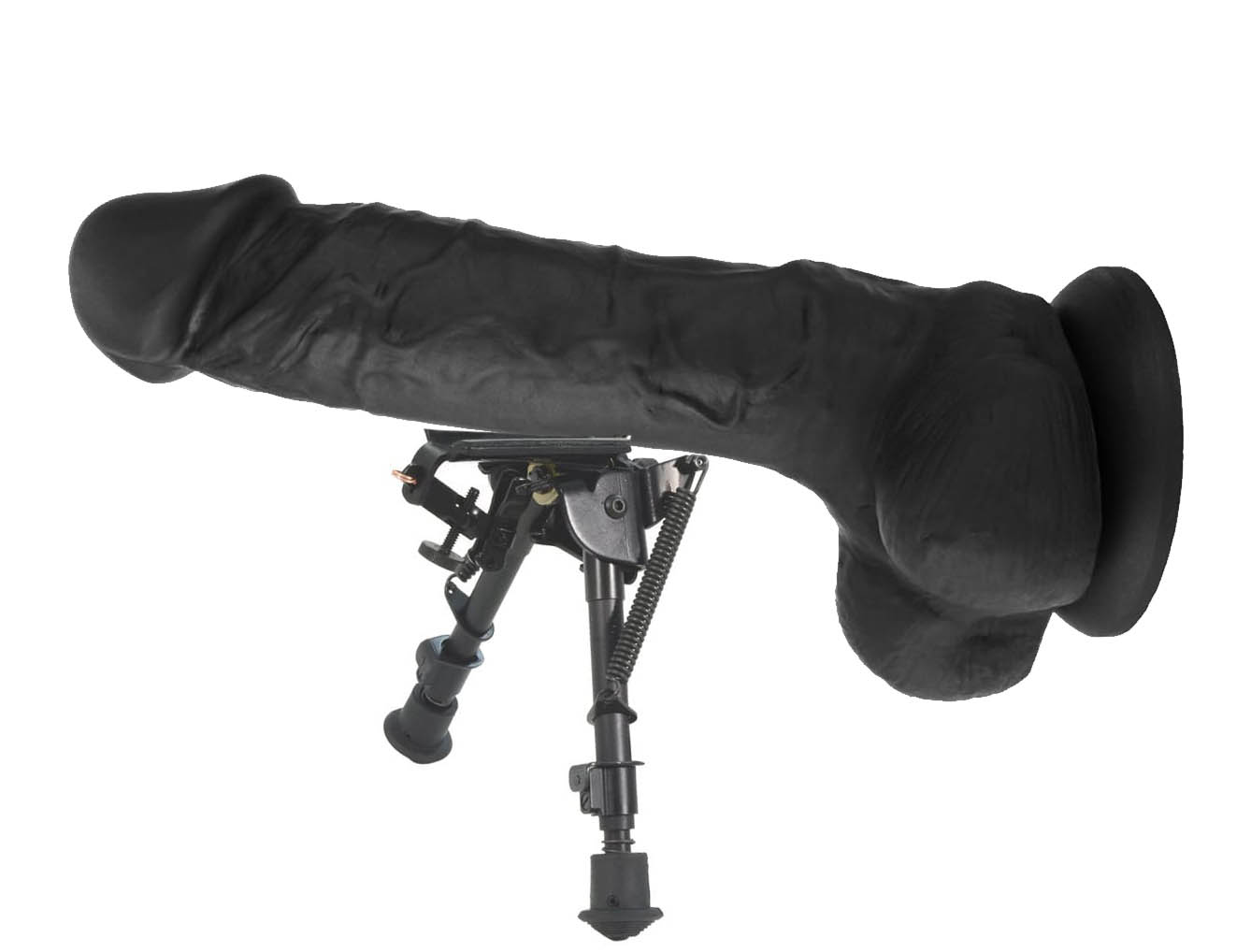 Harrisbipod.jpg