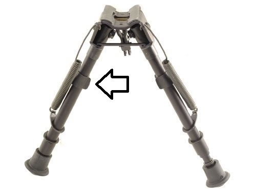HBLM.jpg