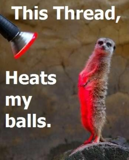 heats my balls.jpg