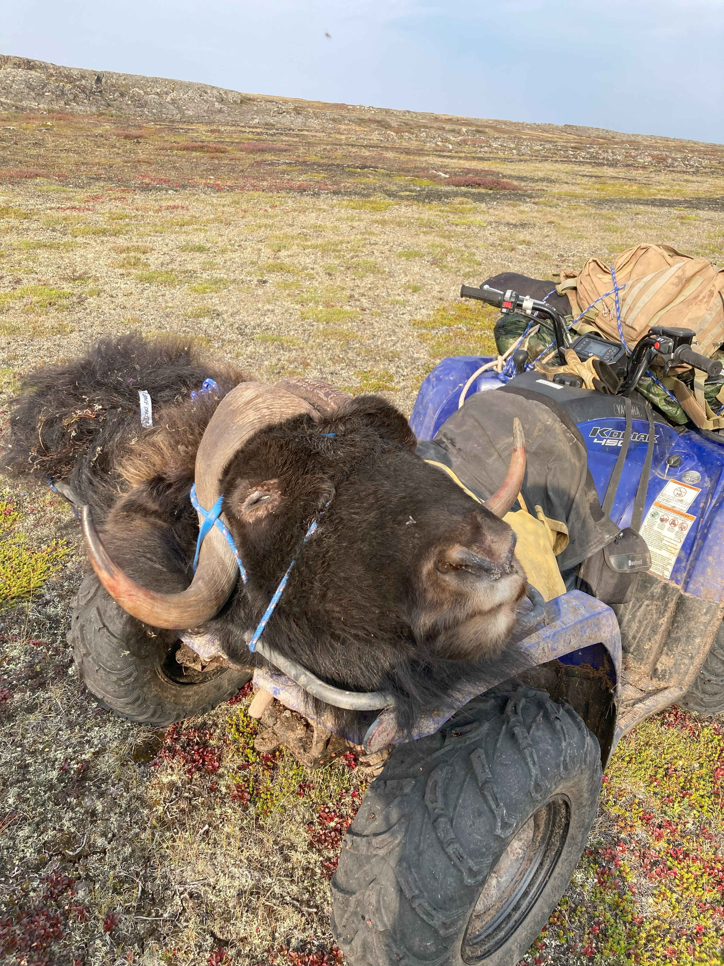 heavy load.jpg