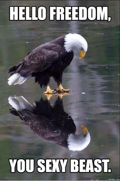 hello-freedom-you-sexy-beast-memes-com-29710256.png