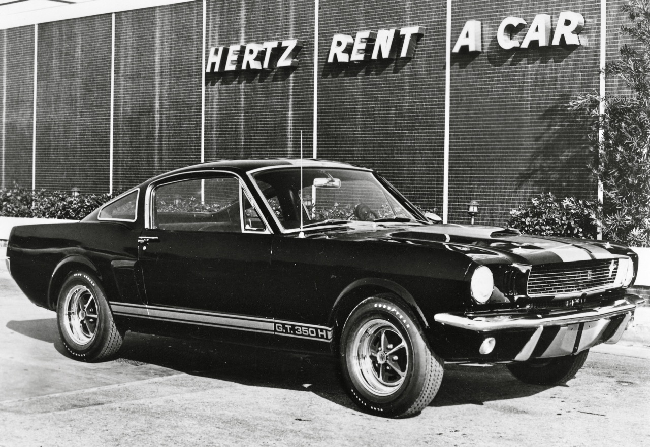 hertz-shelby.jpg