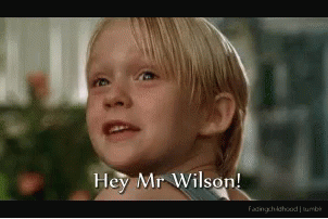 hey-mr-wilson-hey.gif