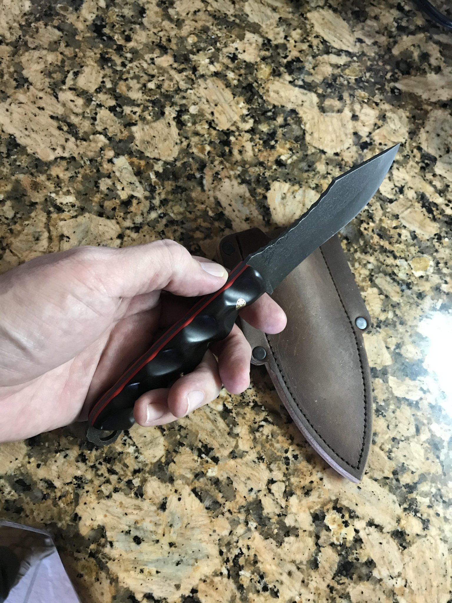 HFB Skinner2.jpg