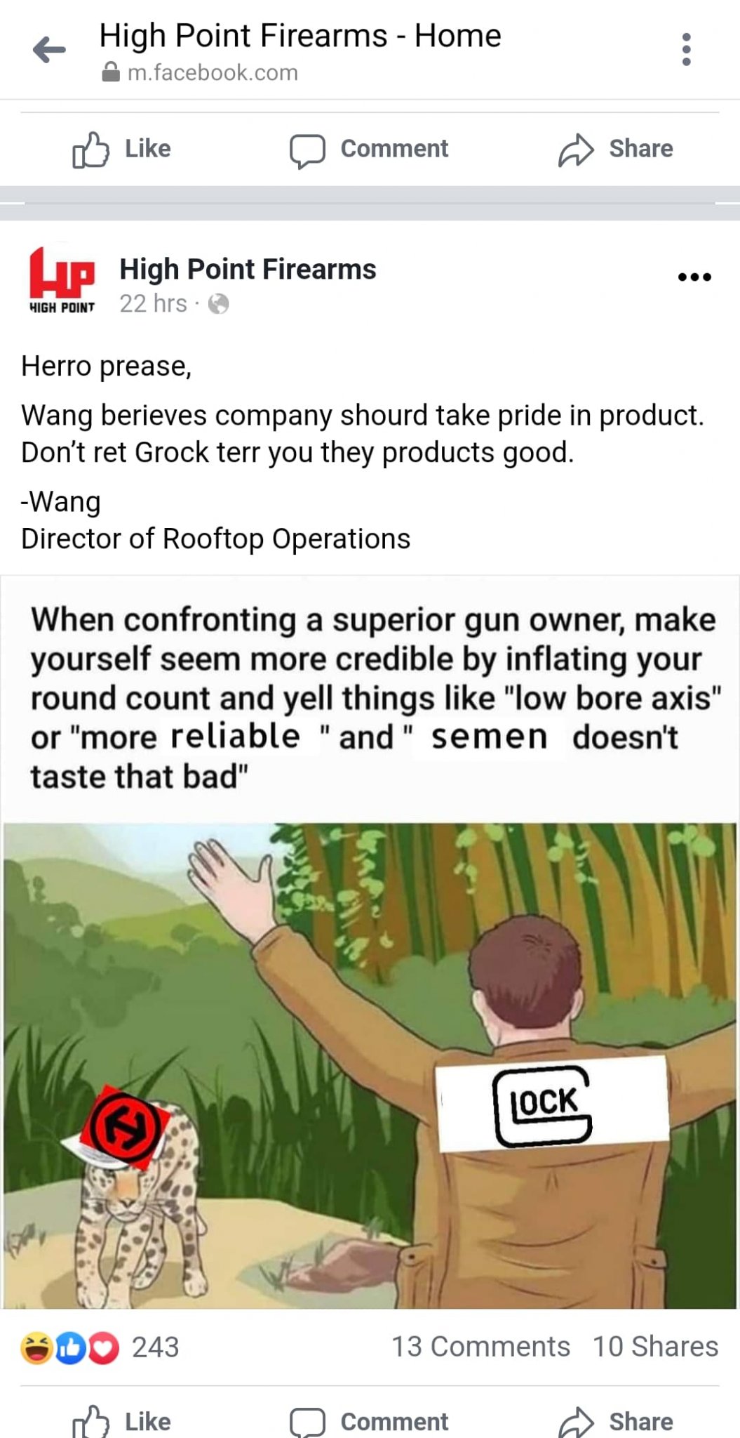 hi point 2.jpg