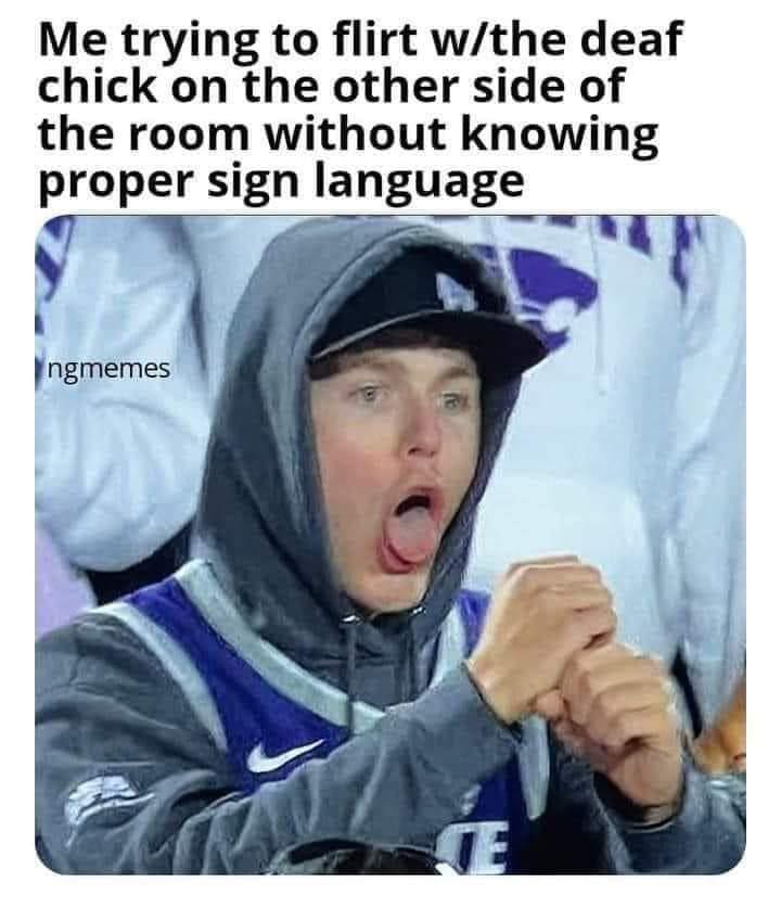 hiq5dmc82qz91.jpeg