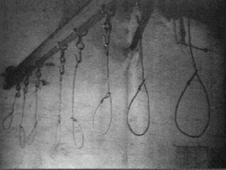 hitler-assassination-nooses-768x576.jpg