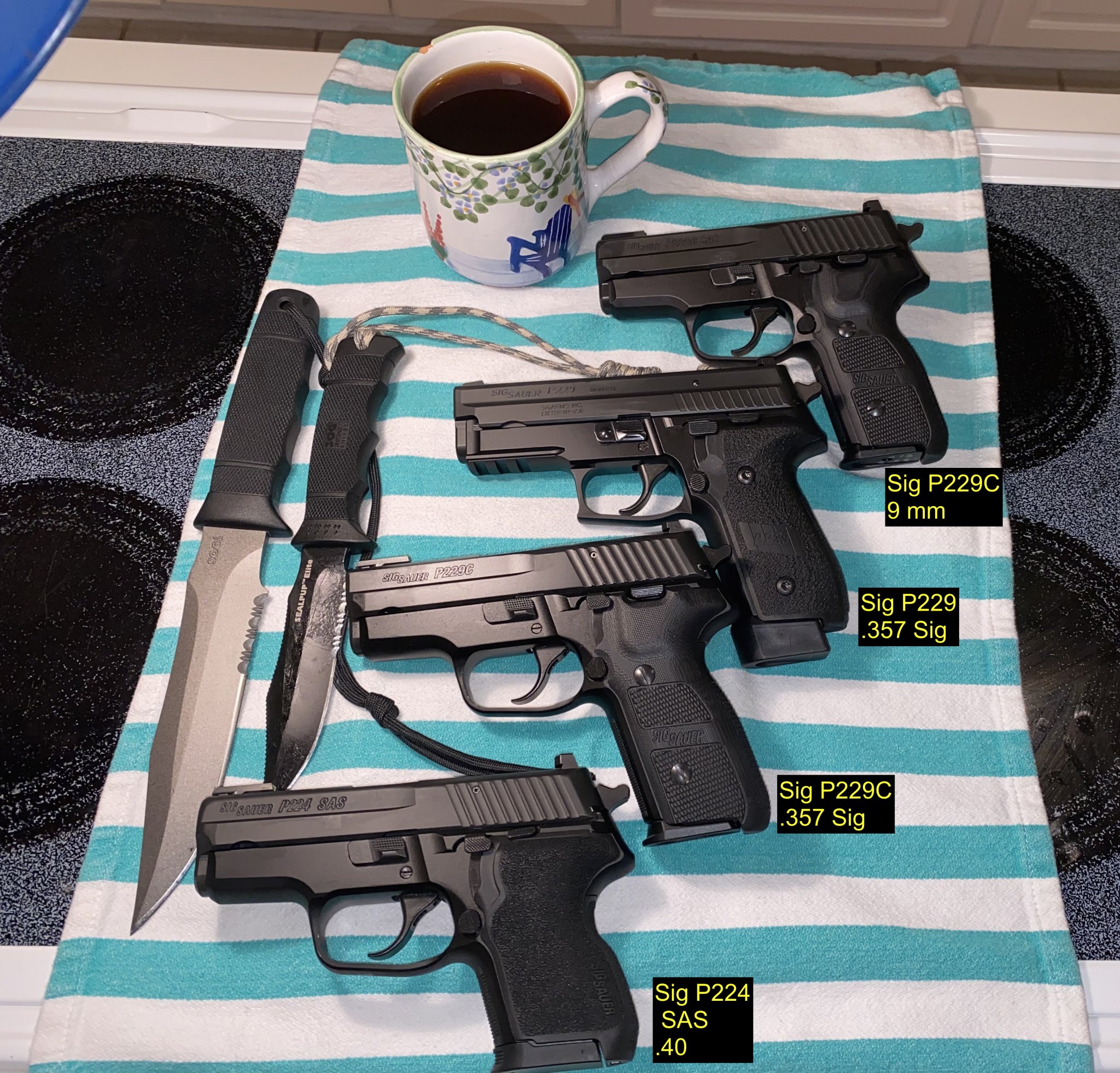 HK p30 VP9 Compact - USP .45 Tactical  Sig P229 Derivatives with Coffee Photos 2020IMG_7193 copy.jpg