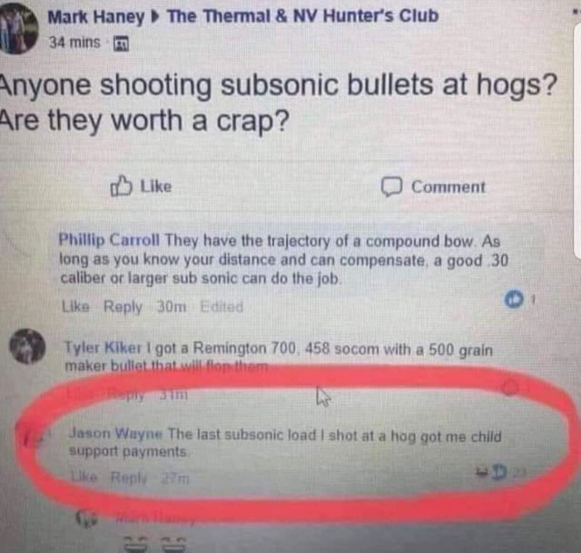 hog.jpg