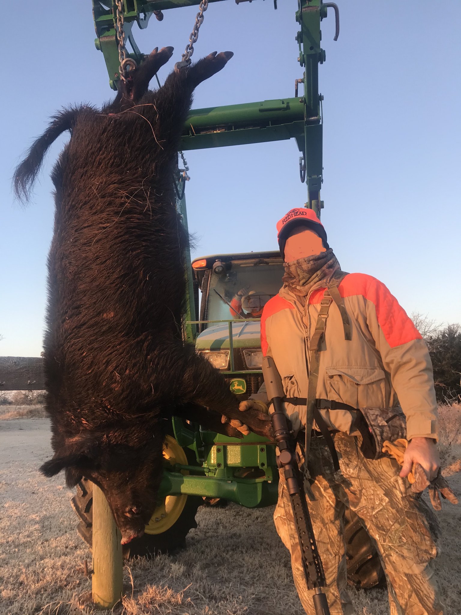 Hog1.jpg