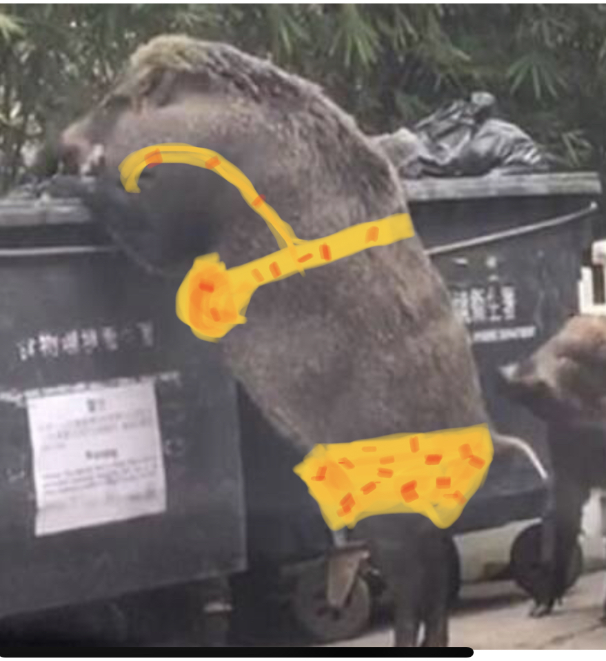 hogger.jpg