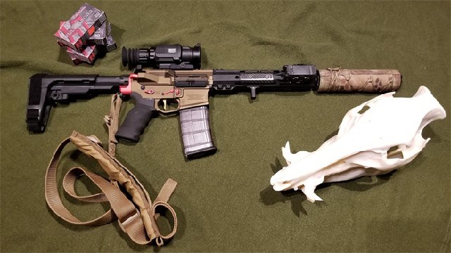 hogster-r.jpg