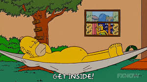 homer  hammock.jpg