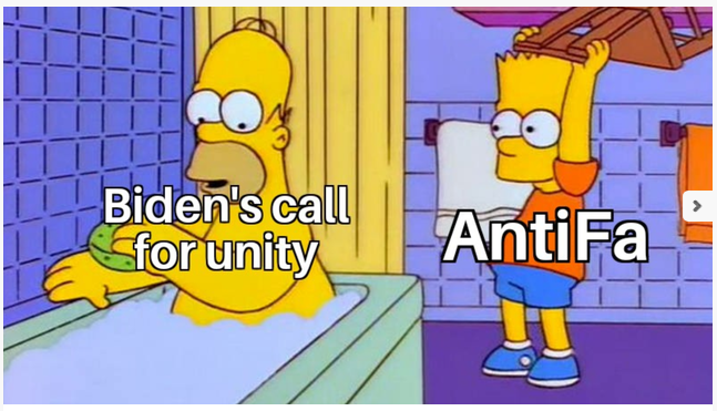 HomerBiden.png