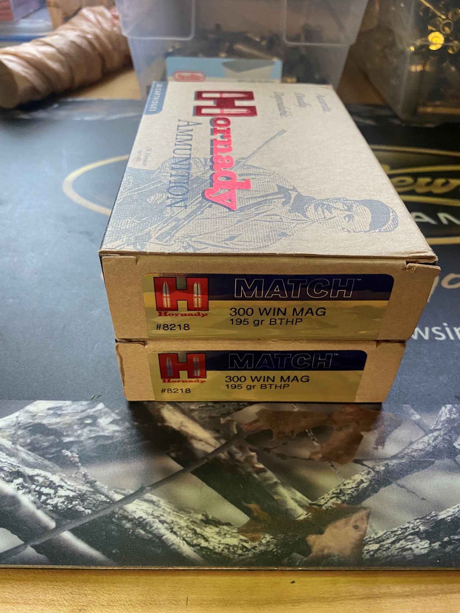 Hornady 195.jpg