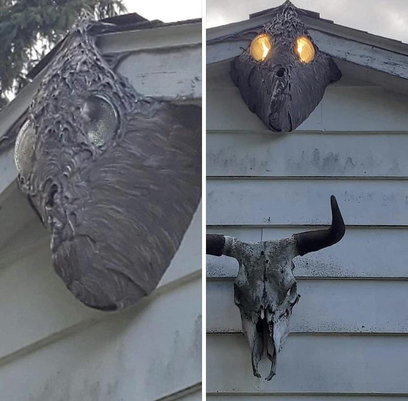 hornet nest.jpg