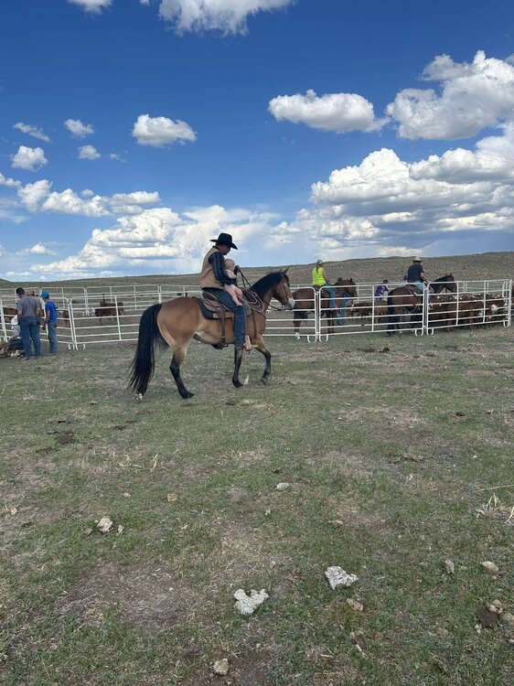horse ride.jpg
