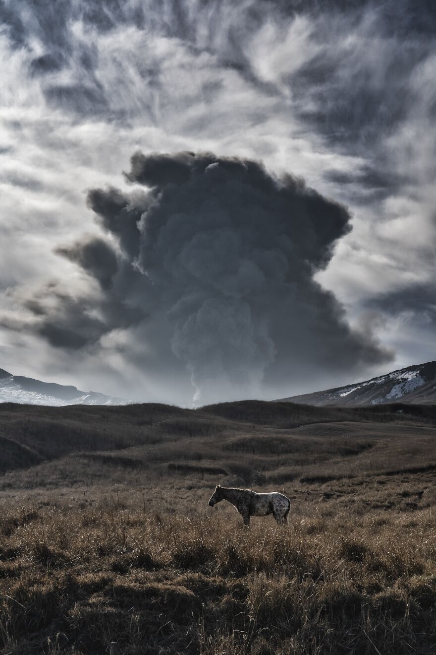 horse storm.jpeg