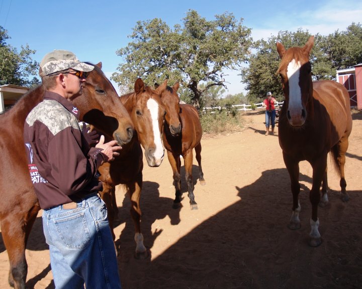 horses briefing.jpg