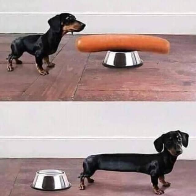hot dog.jpeg
