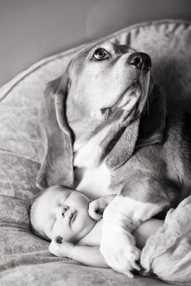 hound baby.jpeg