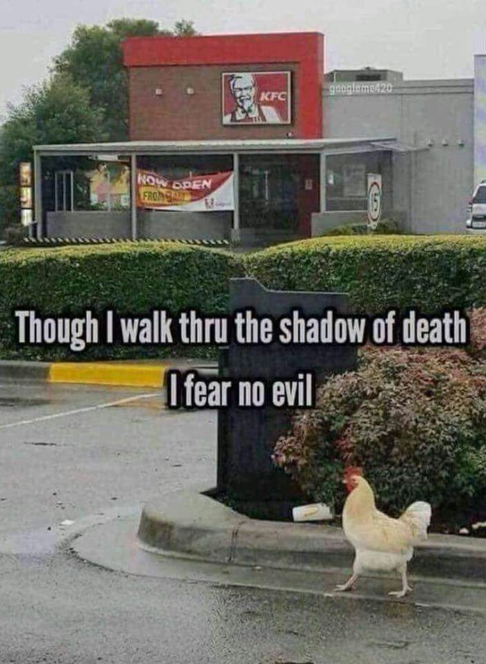 How brave he is - Funny.jpeg