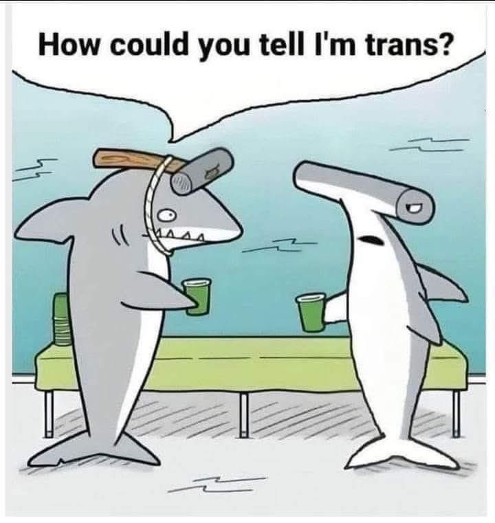 How-can-you-tell.jpg