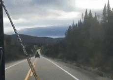 huey.gif