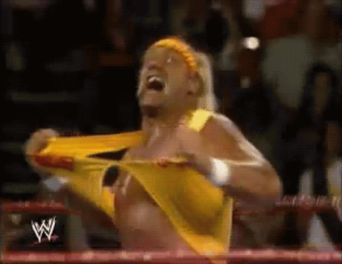 Hulk Hogan.gif