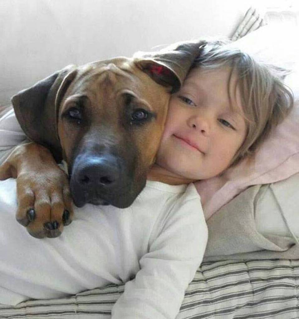 humanitys_best_friends-14.jpeg