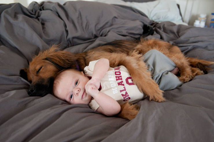humans_animals_forever_in_love_640_08.jpg