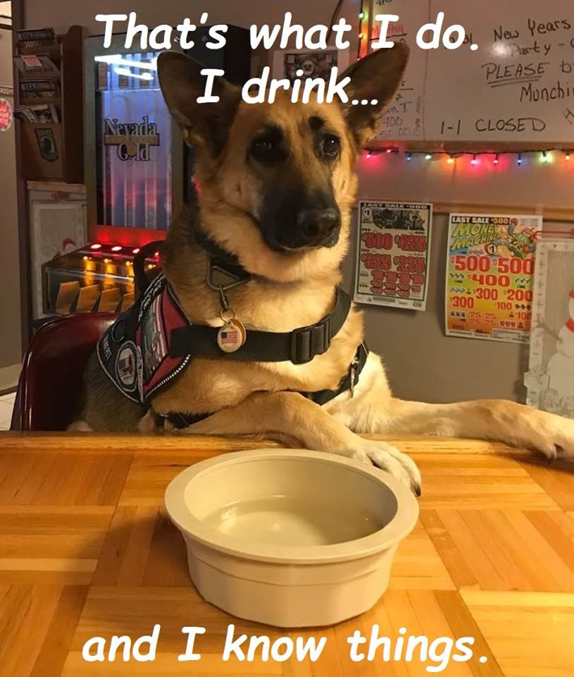 I know things.jpg