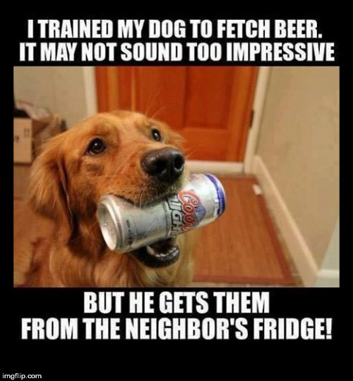 i-trained-funny-dog-meme.jpg
