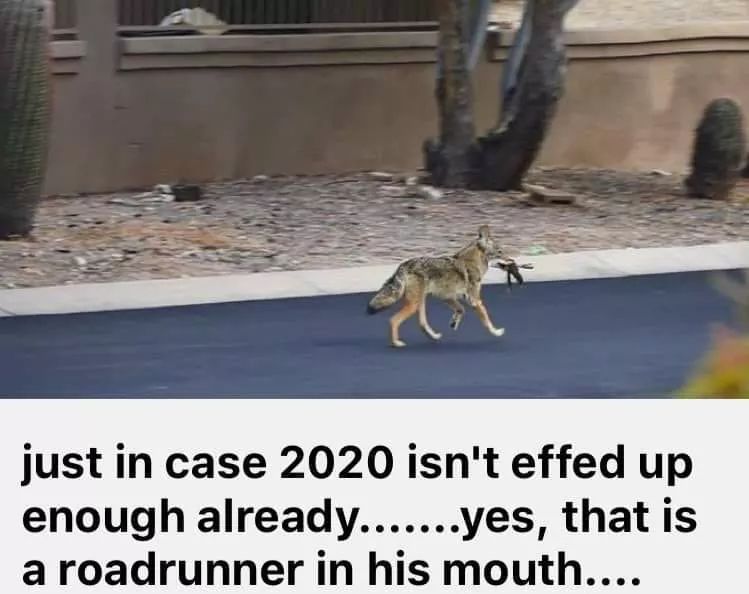i_ro9tW2G.jpg