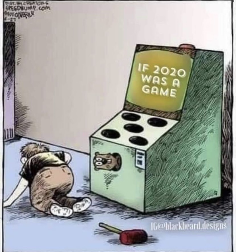 IF 2020 WAS A GAME.jpeg