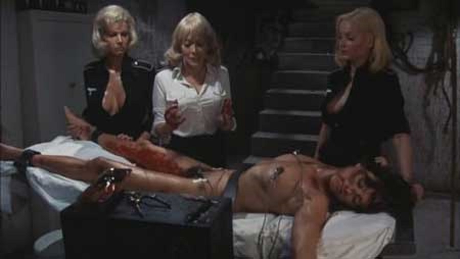 Ilsa-she-wolf-of-the-ss-1975-movie-6.jpg