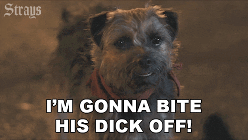 im-gonna-bite-his-dick-off-reggie.gif