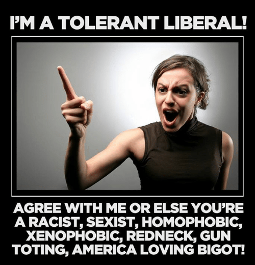 ima_tolerant_liberal_agree_with_me_or_else_youre_a_10847996.png