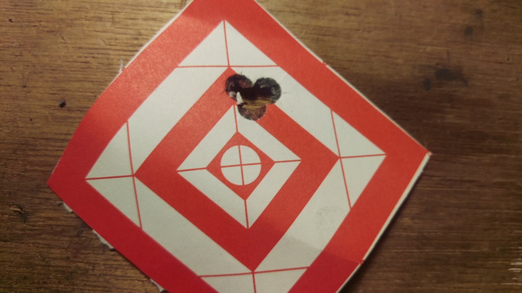 IMAG0676.jpg