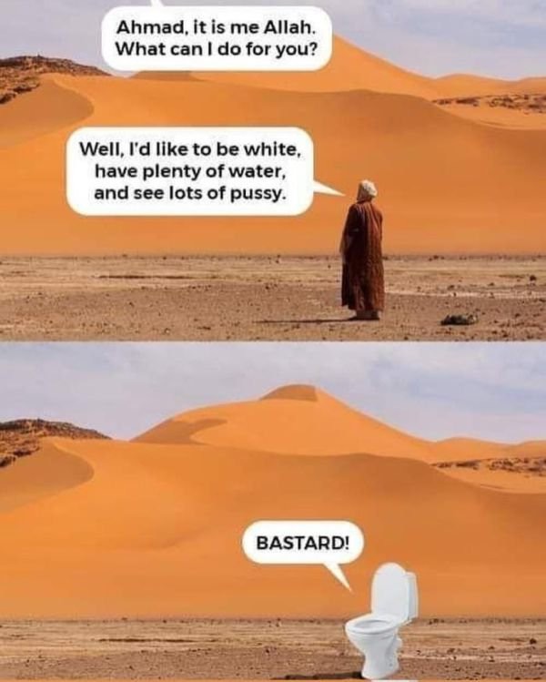 Image 1016.jpeg