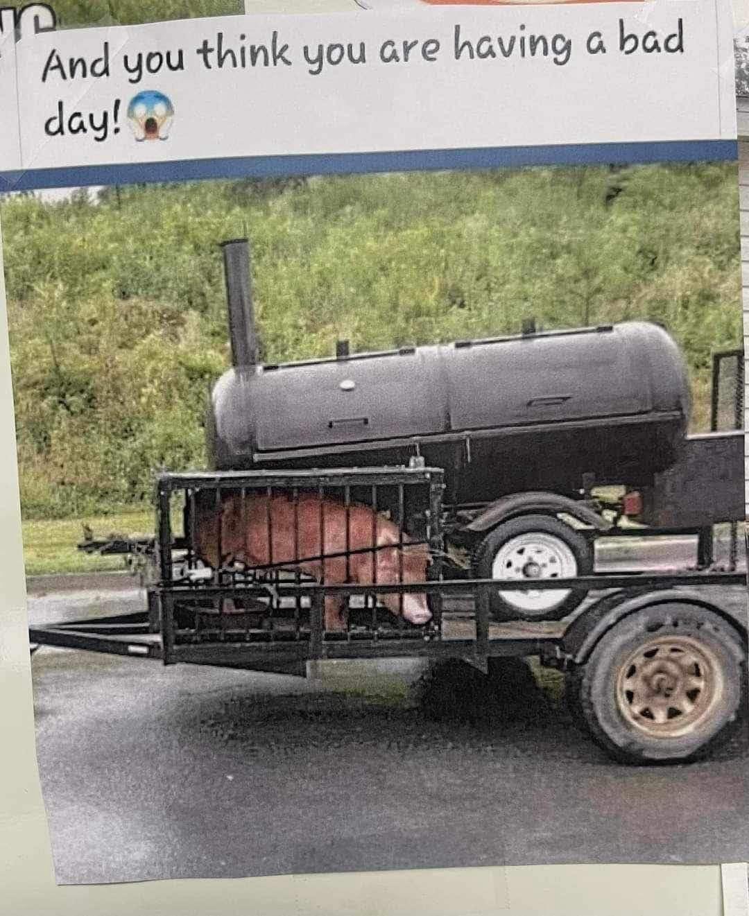 Image 1028.jpeg