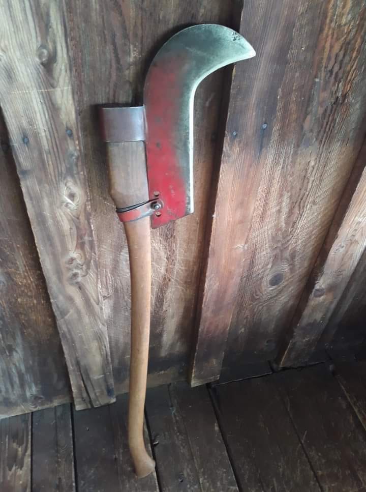 Image 113.jpeg