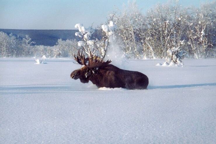 Image 129.jpg