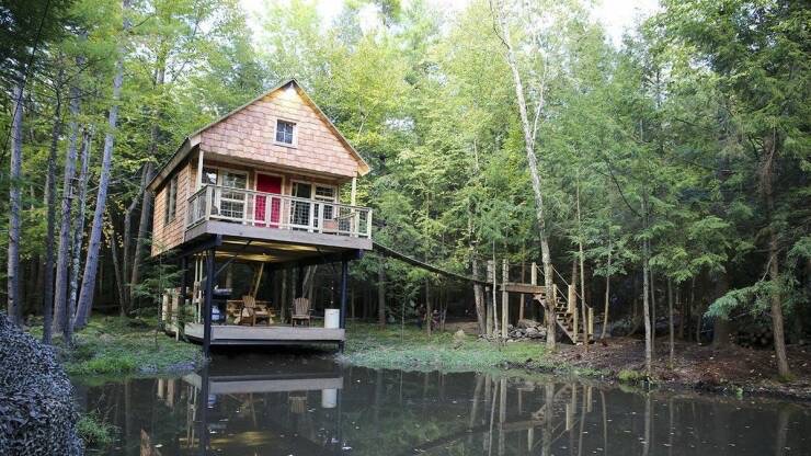 Image 135.jpg